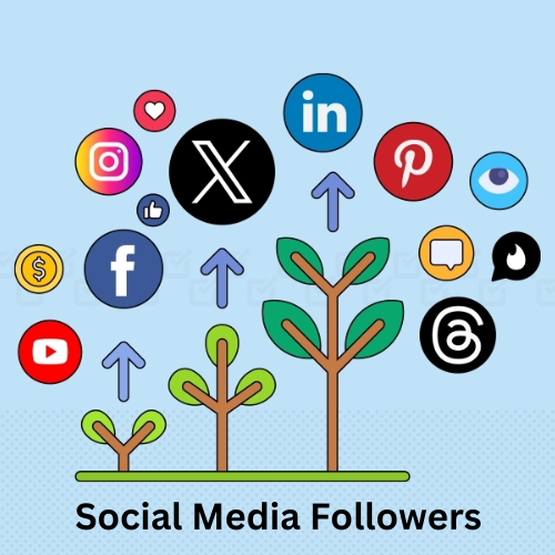 social media followers