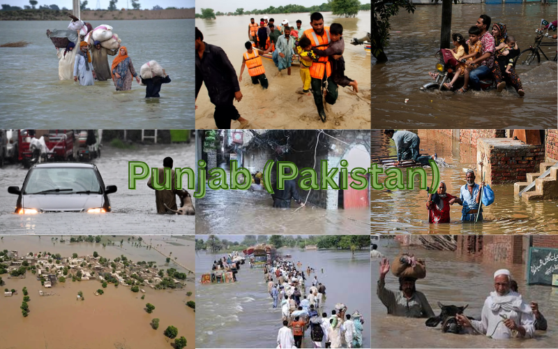 Current Flood Situation in Pakistan and India 2025 Punjab (Pakistan)