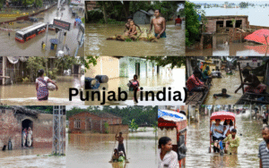 Current Flood Situation in Pakistan and India 2025 Punjab (india) (1)